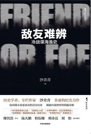 敌友难辨