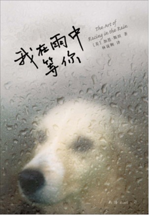 我在雨中等你