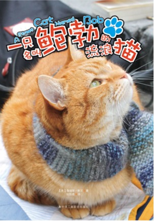 一只名叫鲍勃的流浪猫